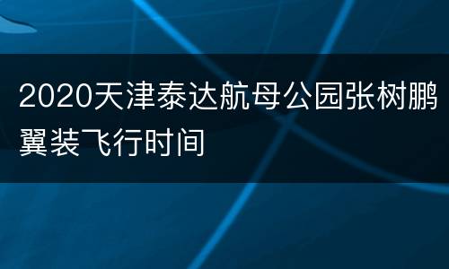2020天津泰达航母公园张树鹏翼装飞行时间