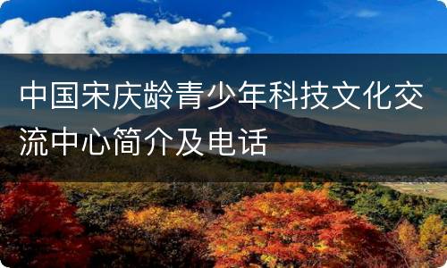 中国宋庆龄青少年科技文化交流中心简介及电话