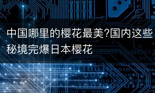 中国哪里的樱花最美?国内这些秘境完爆日本樱花