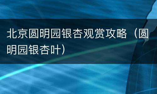 北京圆明园银杏观赏攻略（圆明园银杏叶）