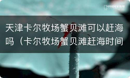 天津卡尔牧场蟹贝滩可以赶海吗（卡尔牧场蟹贝滩赶海时间）