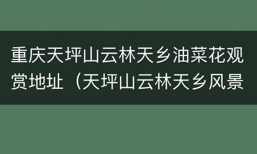 重庆天坪山云林天乡油菜花观赏地址（天坪山云林天乡风景区）