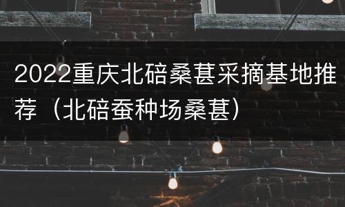 2022重庆北碚桑葚采摘基地推荐（北碚蚕种场桑葚）