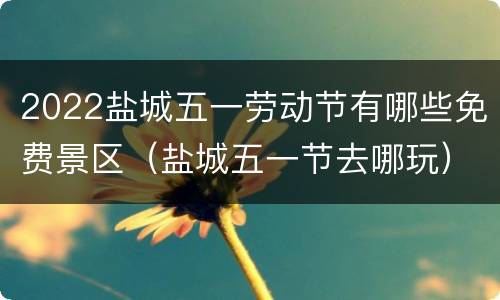 2022盐城五一劳动节有哪些免费景区（盐城五一节去哪玩）
