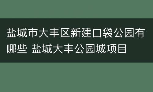 盐城市大丰区新建口袋公园有哪些 盐城大丰公园城项目