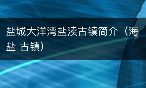 盐城大洋湾盐渎古镇简介（海盐 古镇）