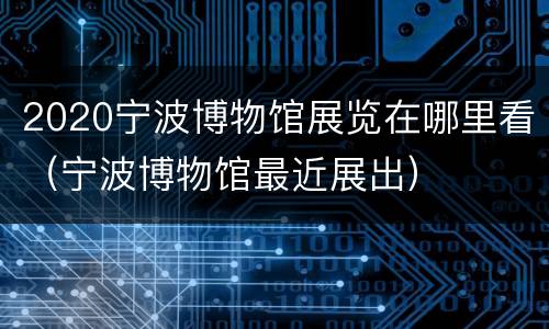 2020宁波博物馆展览在哪里看（宁波博物馆最近展出）