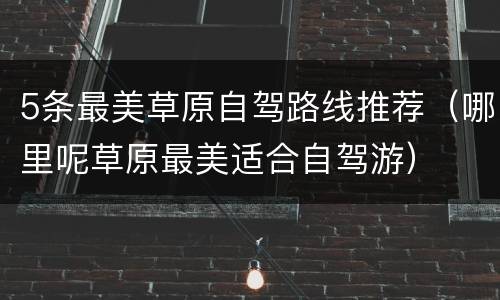 5条最美草原自驾路线推荐（哪里呢草原最美适合自驾游）