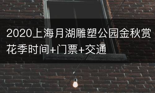 2020上海月湖雕塑公园金秋赏花季时间+门票+交通