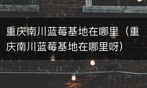 重庆南川蓝莓基地在哪里（重庆南川蓝莓基地在哪里呀）