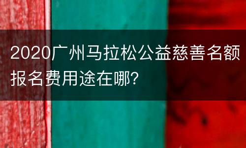 2020广州马拉松公益慈善名额报名费用途在哪？