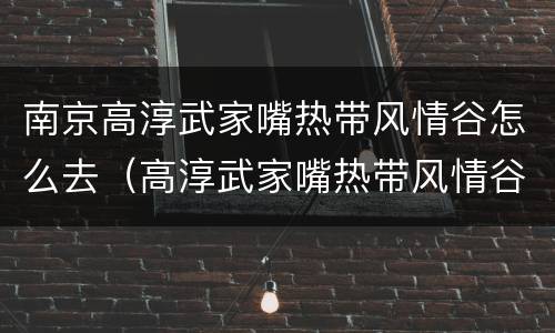 南京高淳武家嘴热带风情谷怎么去（高淳武家嘴热带风情谷好玩）