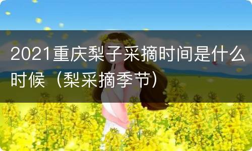 2021重庆梨子采摘时间是什么时候（梨采摘季节）