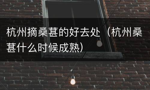 杭州摘桑葚的好去处（杭州桑葚什么时候成熟）