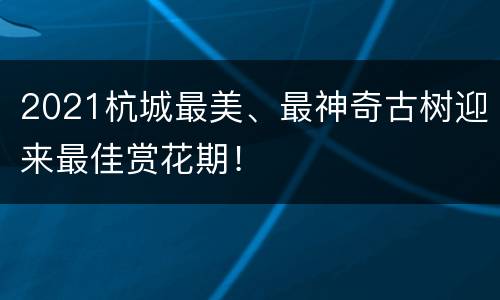 2021杭城最美、最神奇古树迎来最佳赏花期！