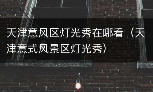 天津意风区灯光秀在哪看（天津意式风景区灯光秀）