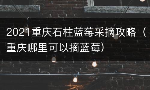 2021重庆石柱蓝莓采摘攻略（重庆哪里可以摘蓝莓）