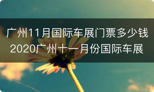 广州11月国际车展门票多少钱 2020广州十一月份国际车展