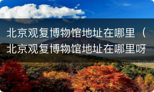 北京观复博物馆地址在哪里（北京观复博物馆地址在哪里呀）