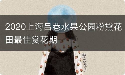 2020上海吕巷水果公园粉黛花田最佳赏花期