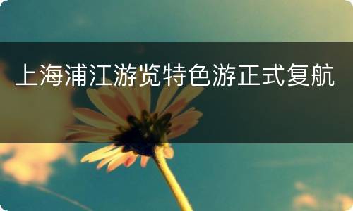 上海浦江游览特色游正式复航