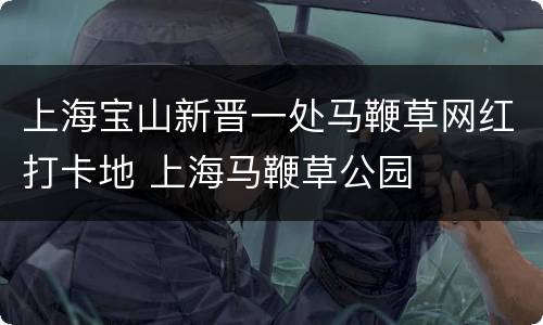 上海宝山新晋一处马鞭草网红打卡地 上海马鞭草公园