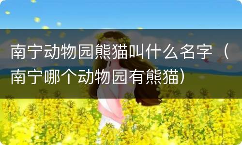 南宁动物园熊猫叫什么名字（南宁哪个动物园有熊猫）