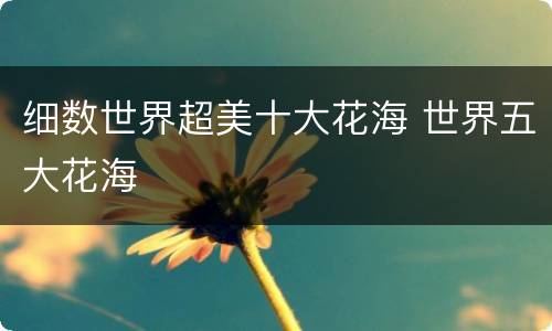 细数世界超美十大花海 世界五大花海
