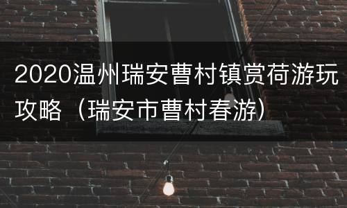 2020温州瑞安曹村镇赏荷游玩攻略（瑞安市曹村春游）