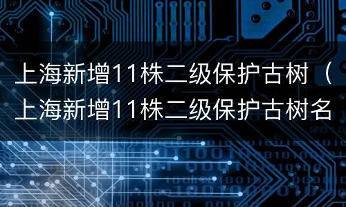 上海新增11株二级保护古树（上海新增11株二级保护古树名录）