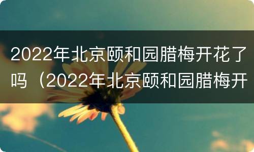 2022年北京颐和园腊梅开花了吗（2022年北京颐和园腊梅开花了吗图片）