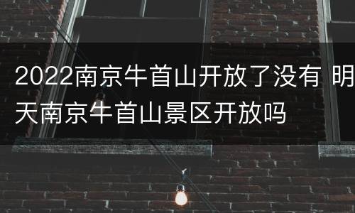 2022南京牛首山开放了没有 明天南京牛首山景区开放吗