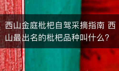 西山金庭枇杷自驾采摘指南 西山最出名的枇杷品种叫什么?