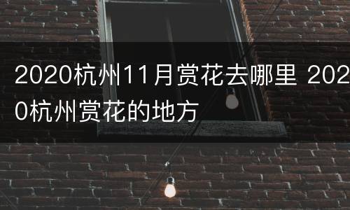 2020杭州11月赏花去哪里 2020杭州赏花的地方