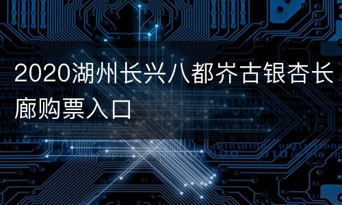 2020湖州长兴八都岕古银杏长廊购票入口