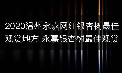 2020温州永嘉网红银杏树最佳观赏地方 永嘉银杏树最佳观赏时间