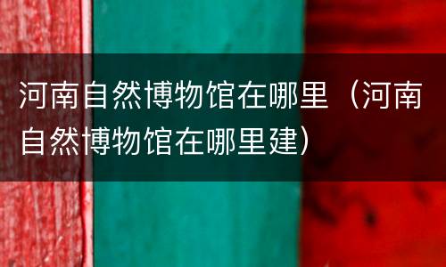 河南自然博物馆在哪里（河南自然博物馆在哪里建）