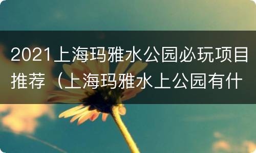 2021上海玛雅水公园必玩项目推荐（上海玛雅水上公园有什么项目）
