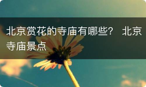 北京赏花的寺庙有哪些？ 北京寺庙景点