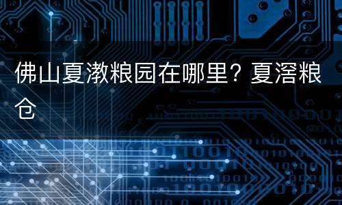 佛山夏漖粮园在哪里? 夏滘粮仓