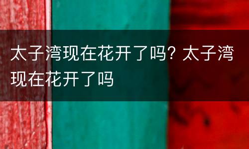 太子湾现在花开了吗? 太子湾现在花开了吗