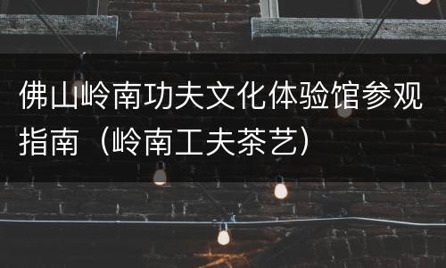 佛山岭南功夫文化体验馆参观指南（岭南工夫茶艺）