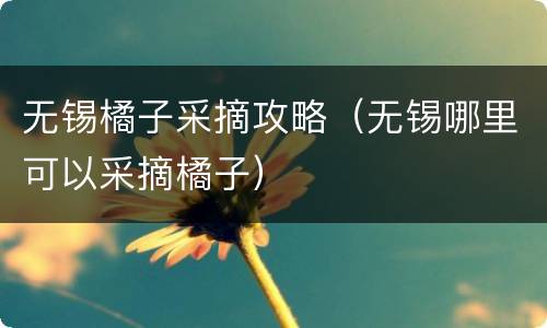 无锡橘子采摘攻略（无锡哪里可以采摘橘子）