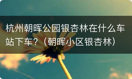 杭州朝晖公园银杏林在什么车站下车?（朝晖小区银杏林）
