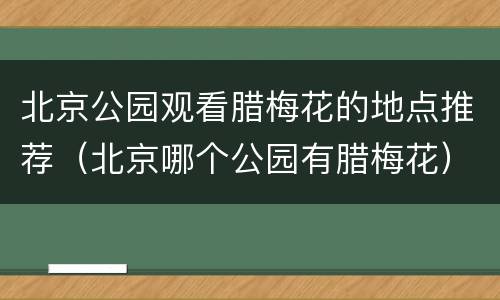 北京公园观看腊梅花的地点推荐（北京哪个公园有腊梅花）