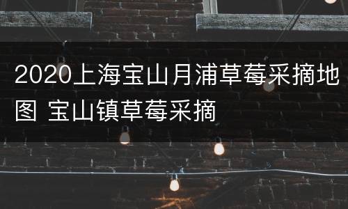 2020上海宝山月浦草莓采摘地图 宝山镇草莓采摘
