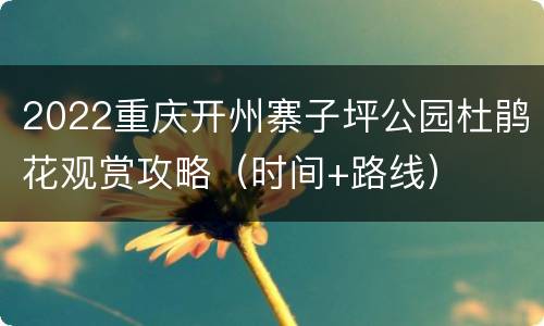 2022重庆开州寨子坪公园杜鹃花观赏攻略（时间+路线）