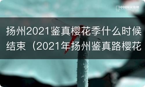 扬州2021鉴真樱花季什么时候结束（2021年扬州鉴真路樱花什么时候开）