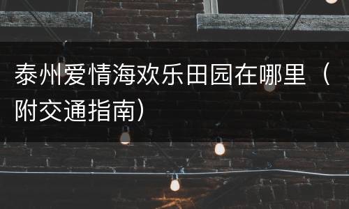 泰州爱情海欢乐田园在哪里（附交通指南）