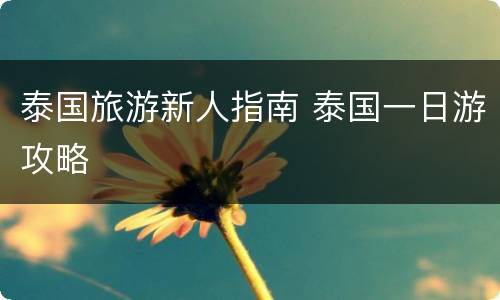 泰国旅游新人指南 泰国一日游攻略